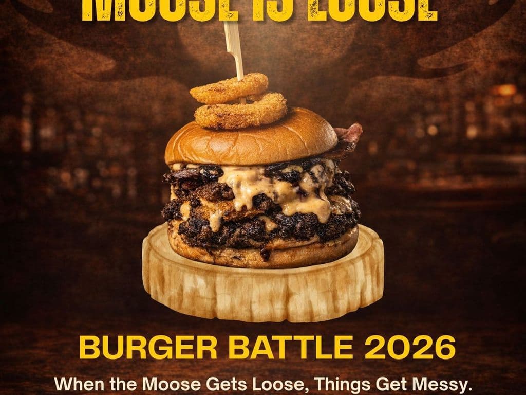 Moose is loose