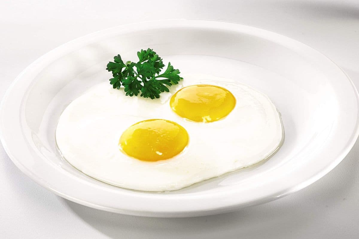 Egg