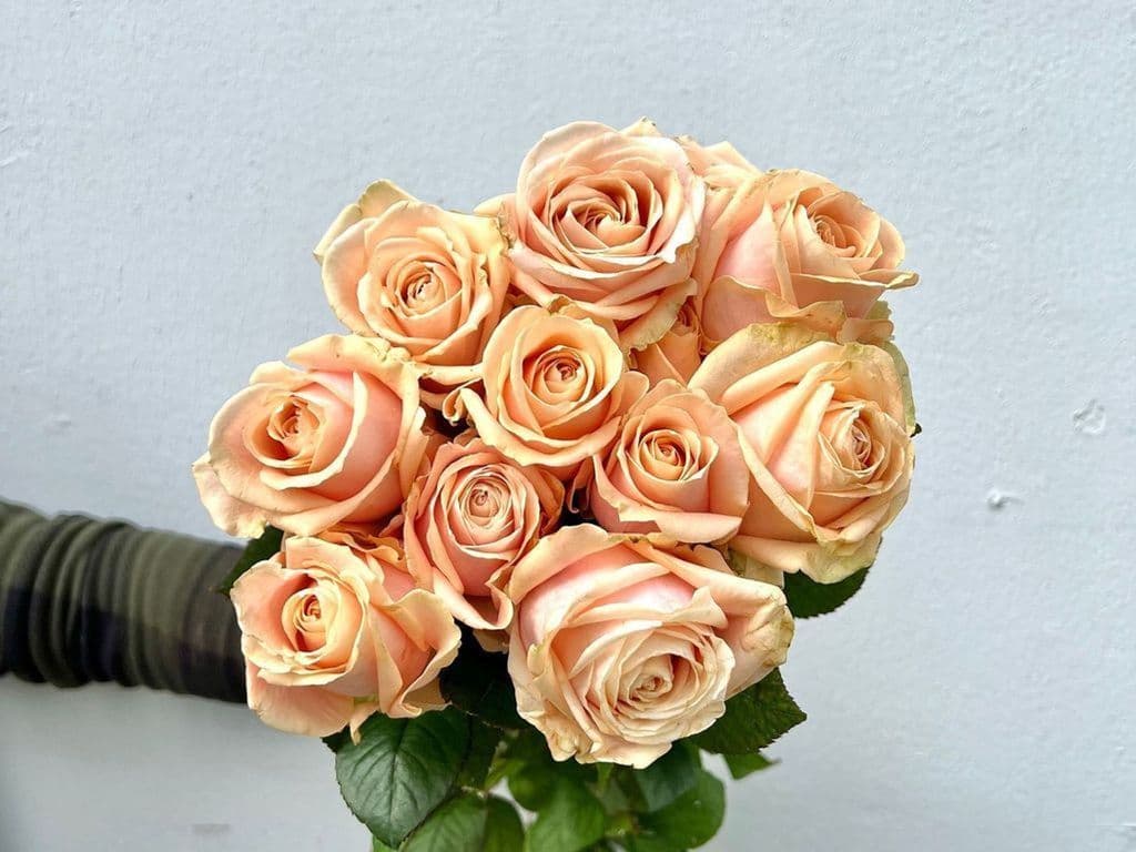 Flowers - Local Rose Peach bouquet (12 stems)