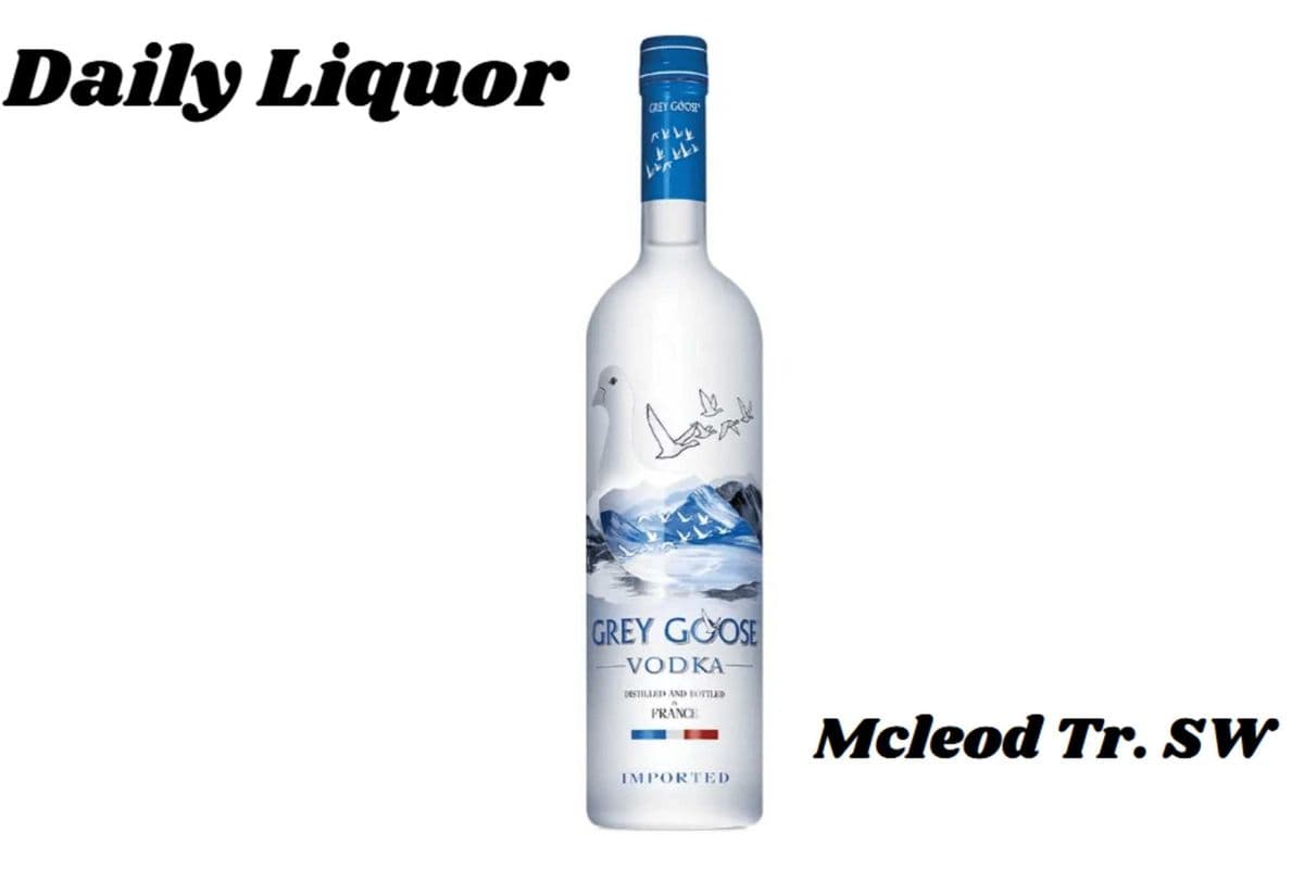 GREY GOOSE 750ML (1 x 750ML)