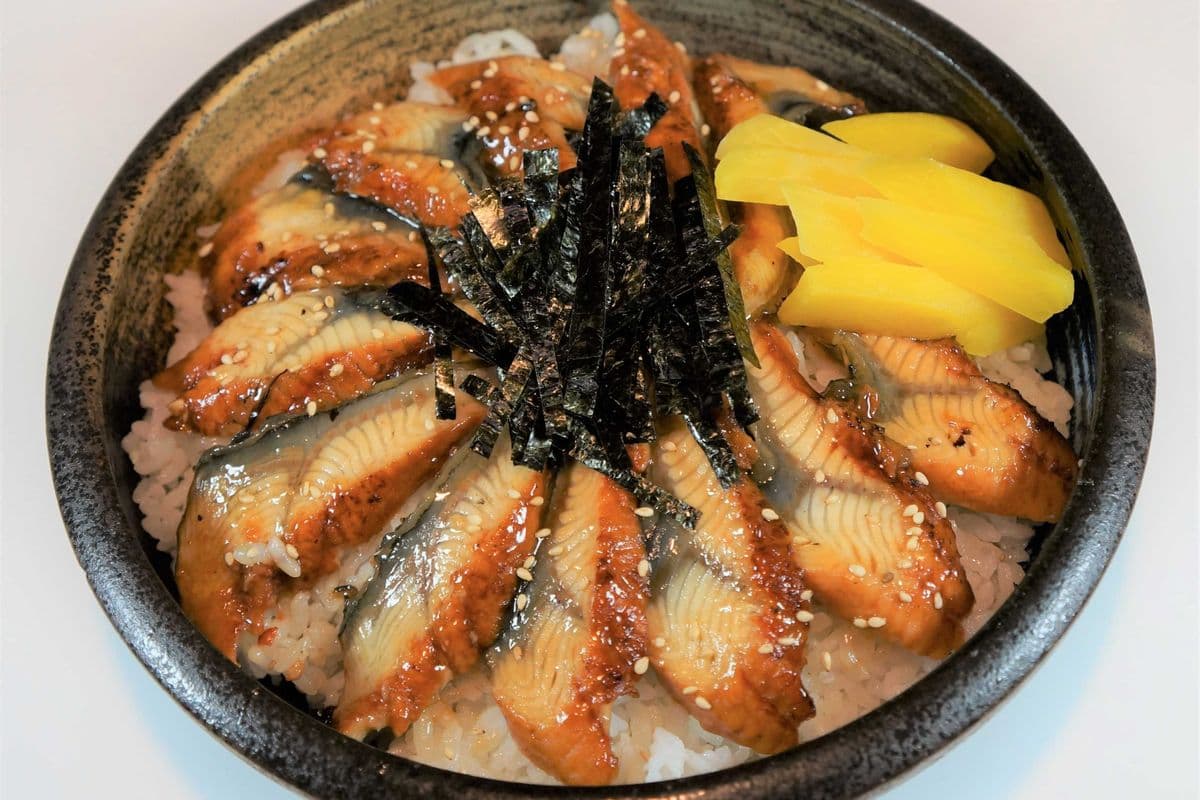 A185. Unagi Don