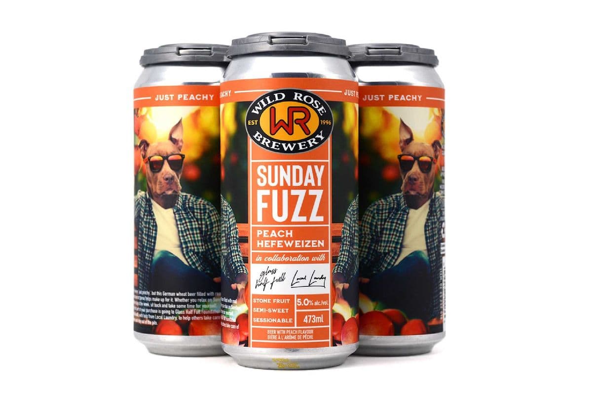 Wild Rose Sunday Fuzz-4PK (4 x 473ml)