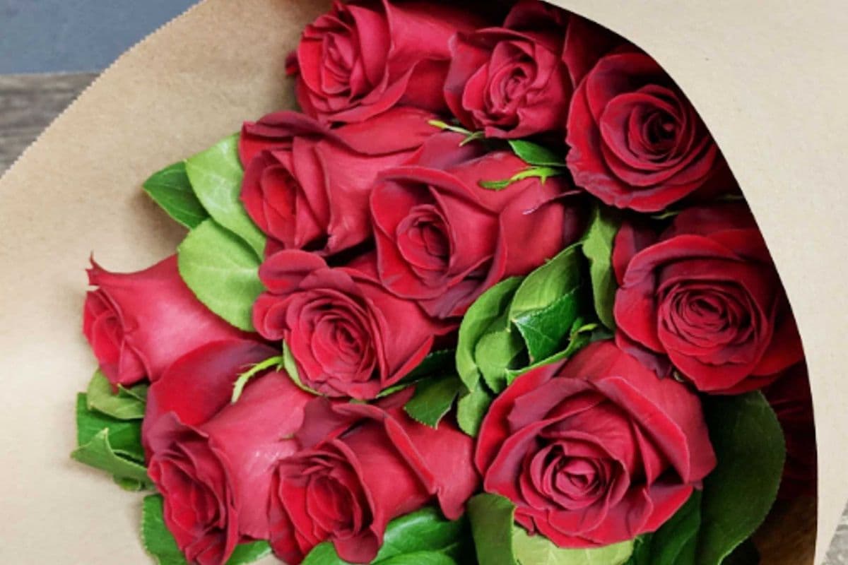 Classic Dozen Red Roses Bouquet