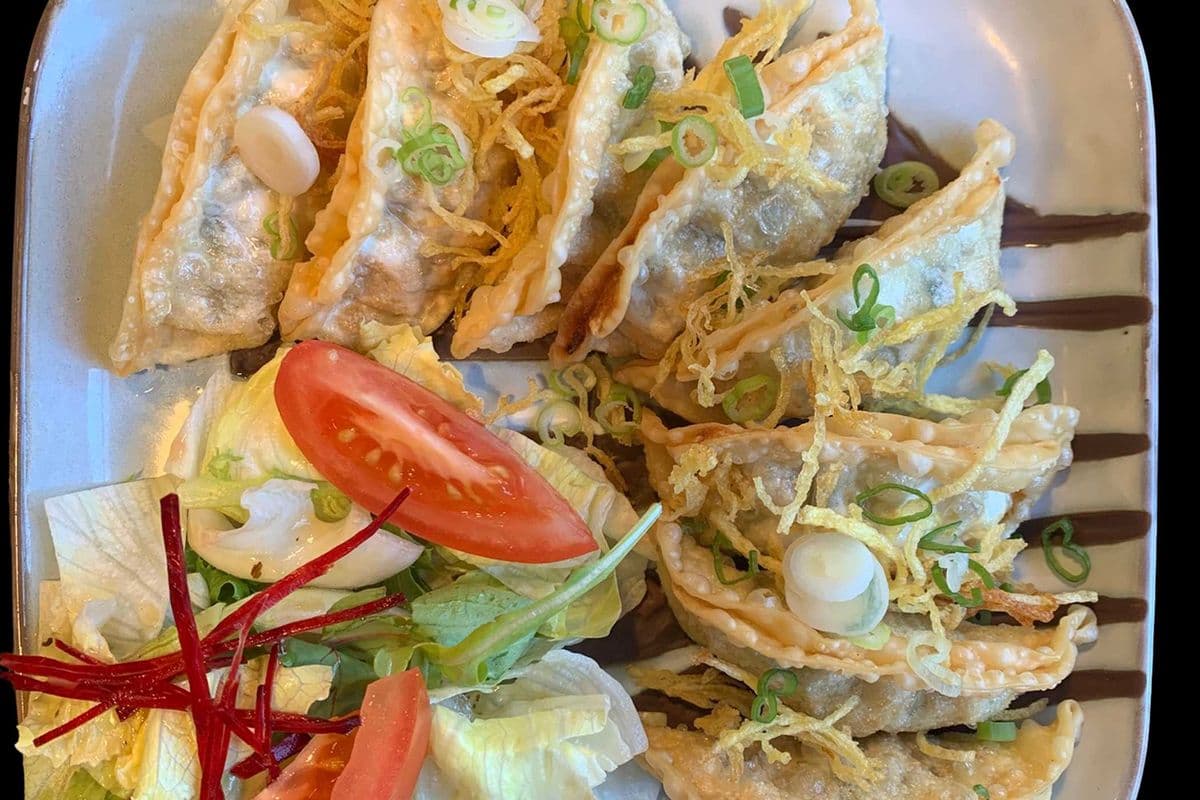 Fried Veggie Dumplings