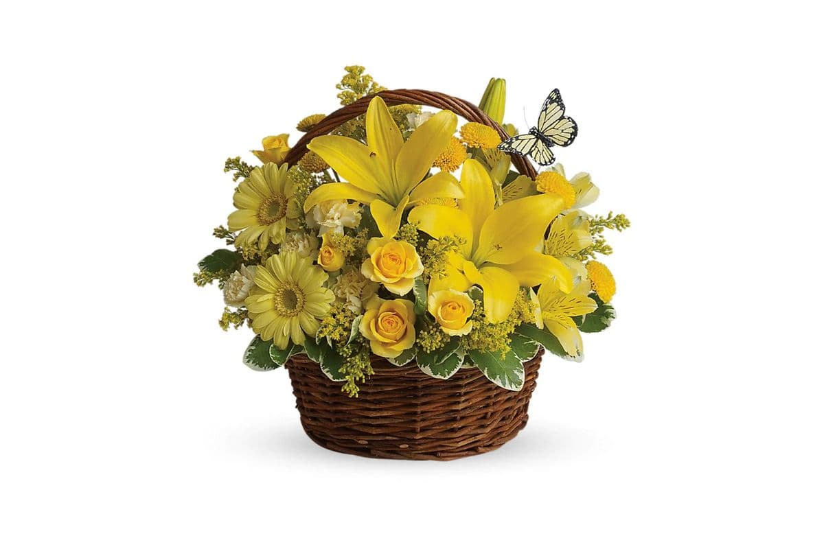 Basket Full of Wishes