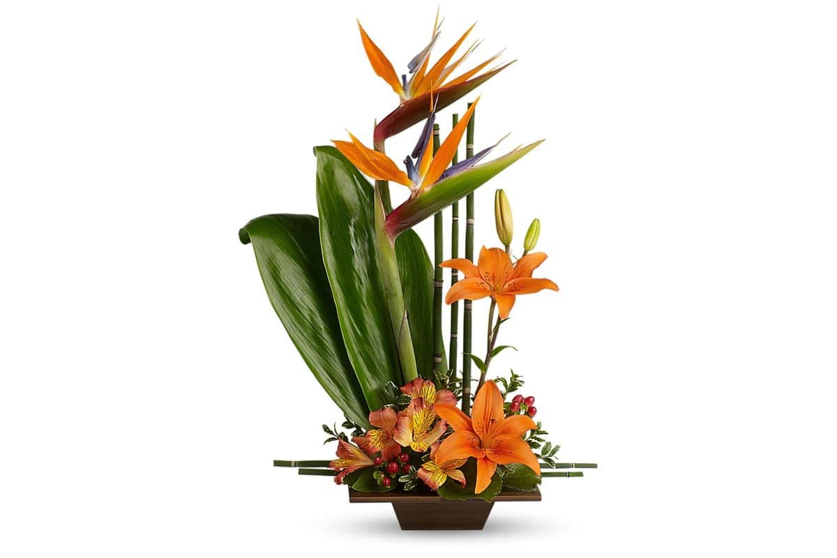 Teleflora's Exotic Grace