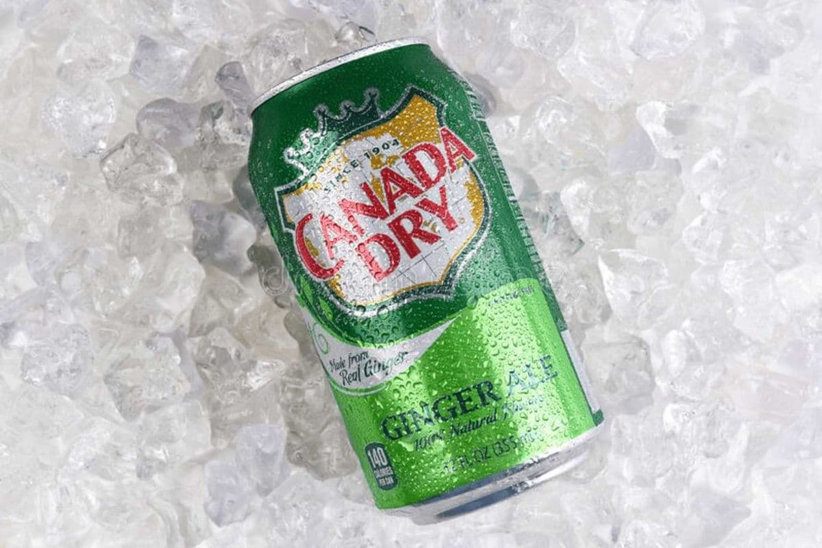 Canada Dry Ginger Ale 355mL Cans