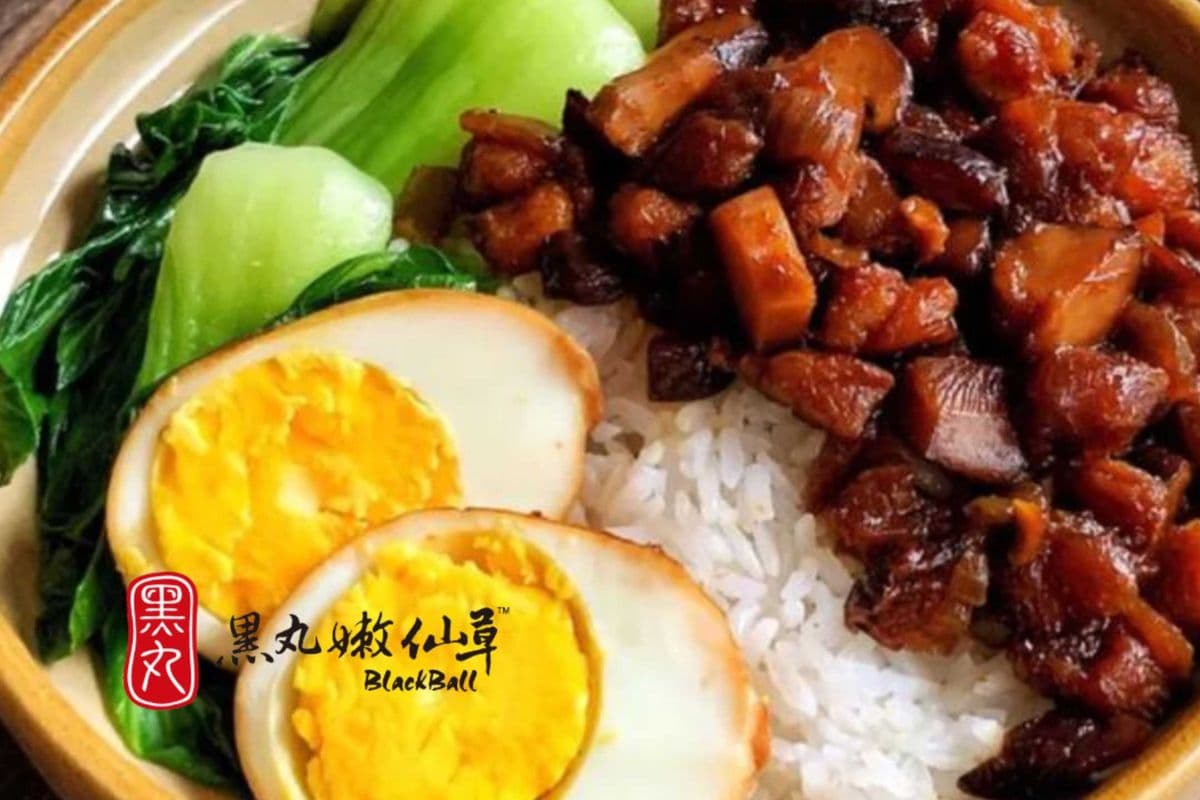 Braised Pork Belly On Rice 鹵肉飯