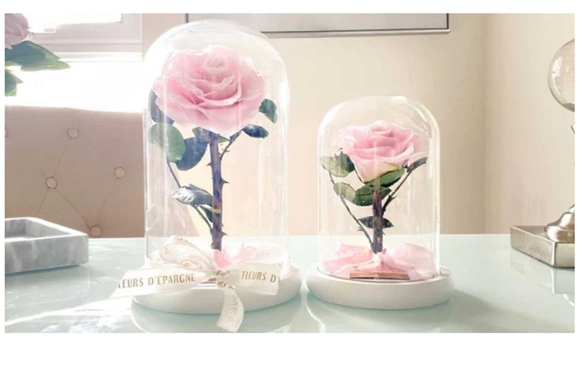 Enchanted Glass Dome (Small) (10x12 cm)