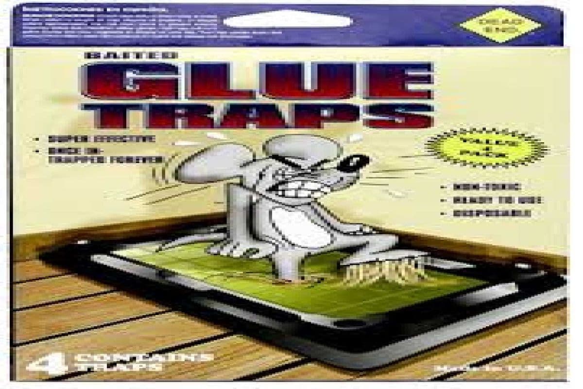 Glue Traps - Value 4 Pack