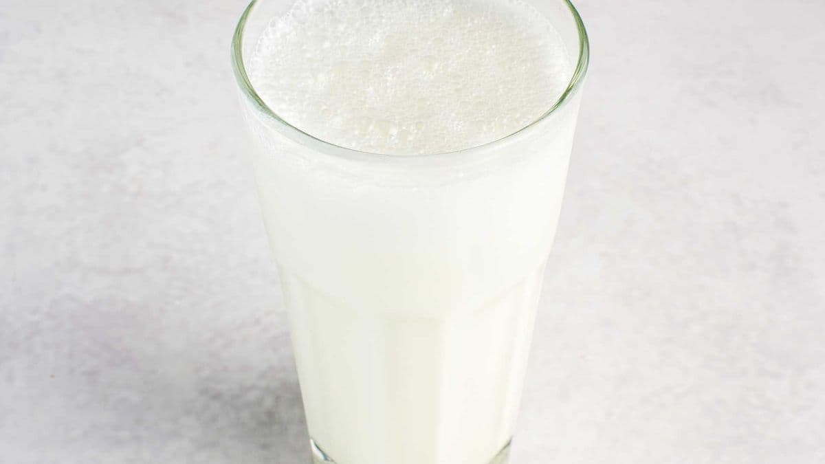 Plain Lassi