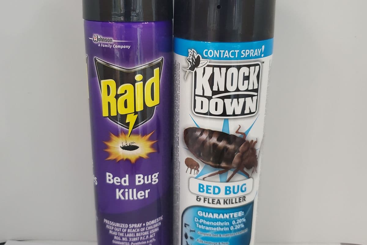 Bedbug Spray