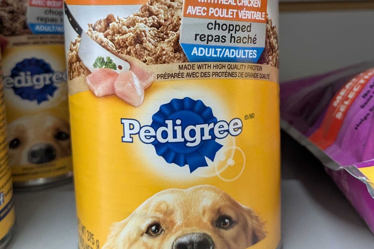 Pedigree chopped real chicken dog food (375g)