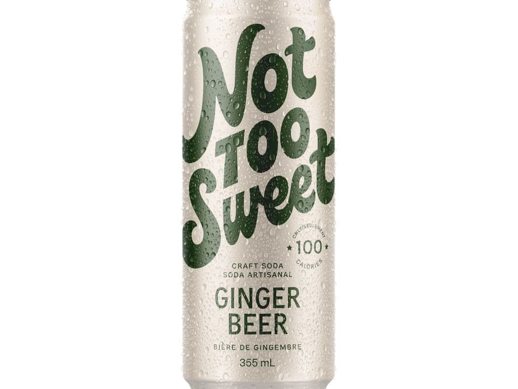 Not Too Sweet Soda - Ginger Beer