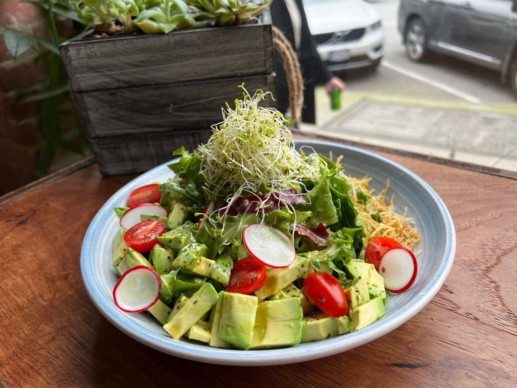 Avocado Salad