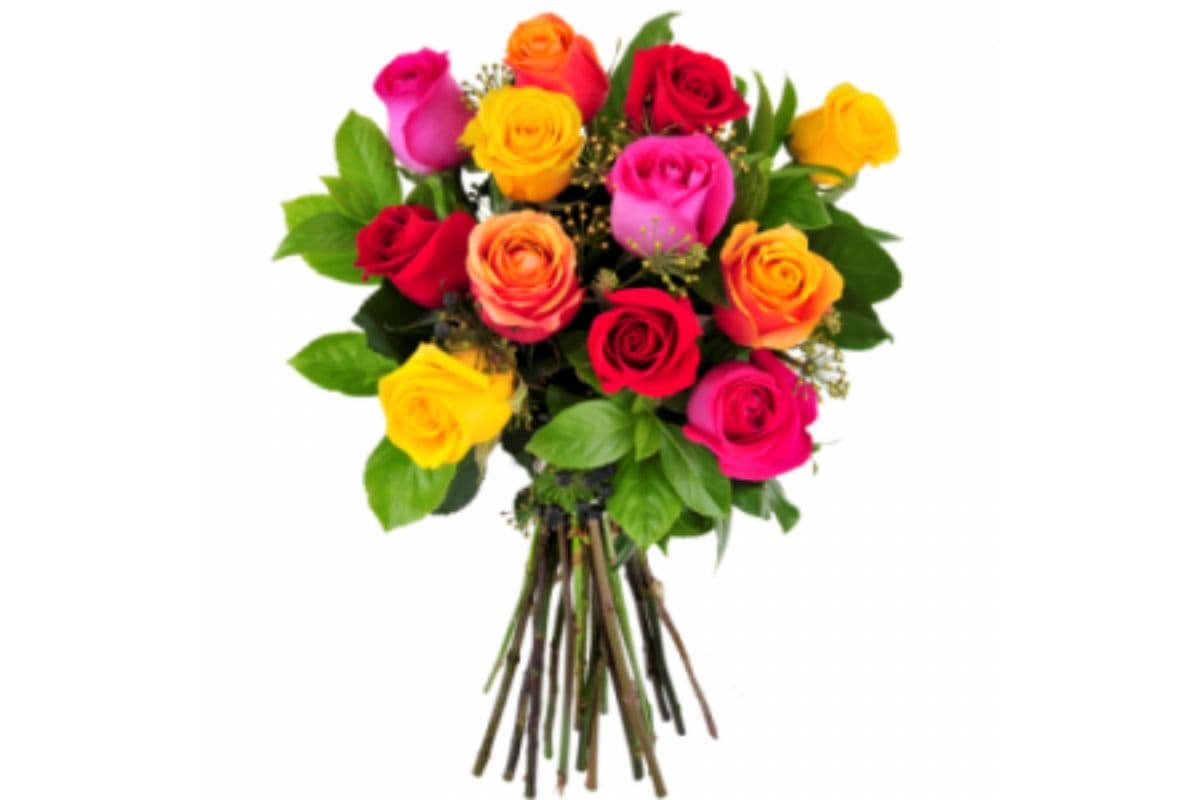 Dozen Coloured Roses Hand-Tied