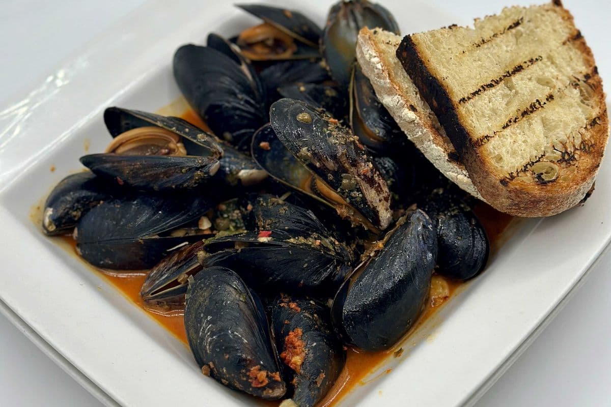 Steamed Mussels