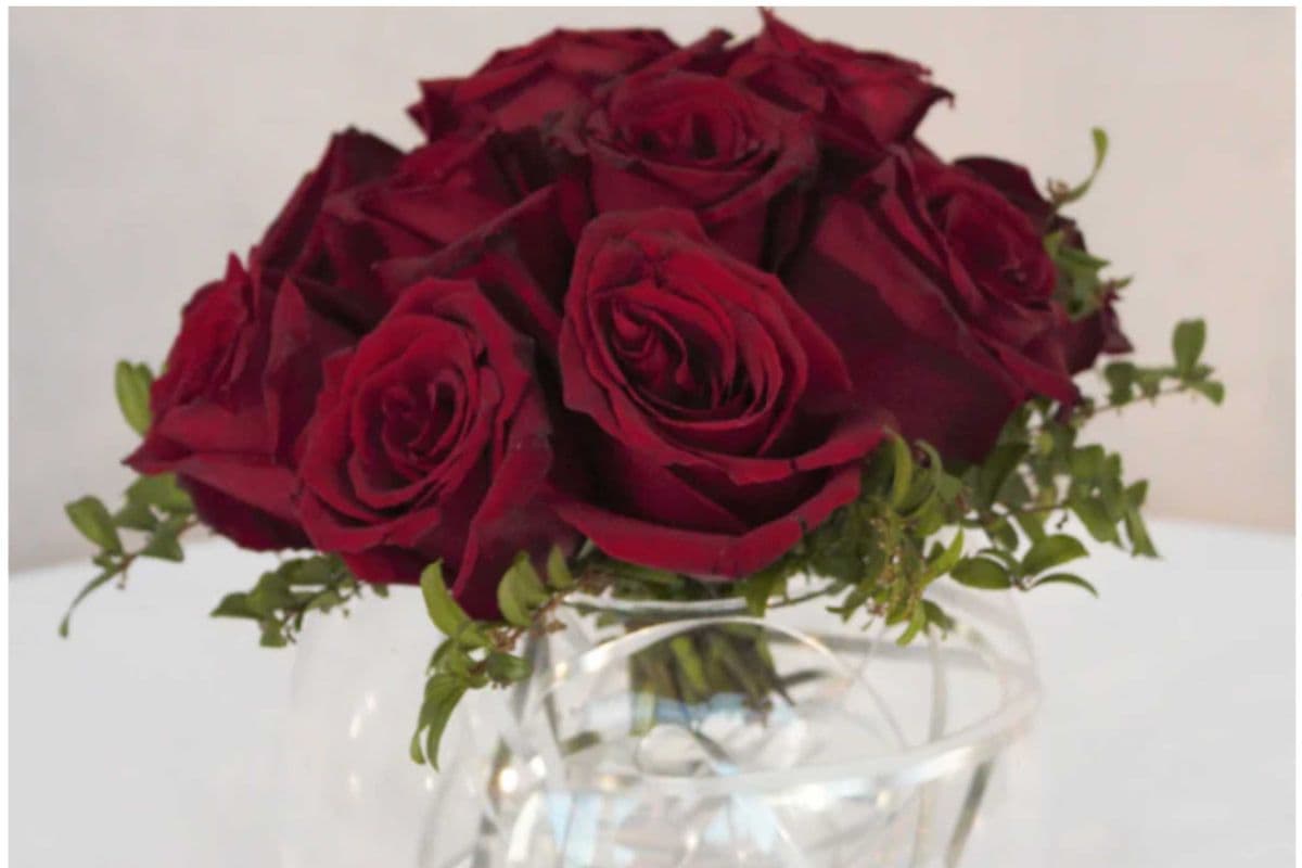 Blossoming Romance
