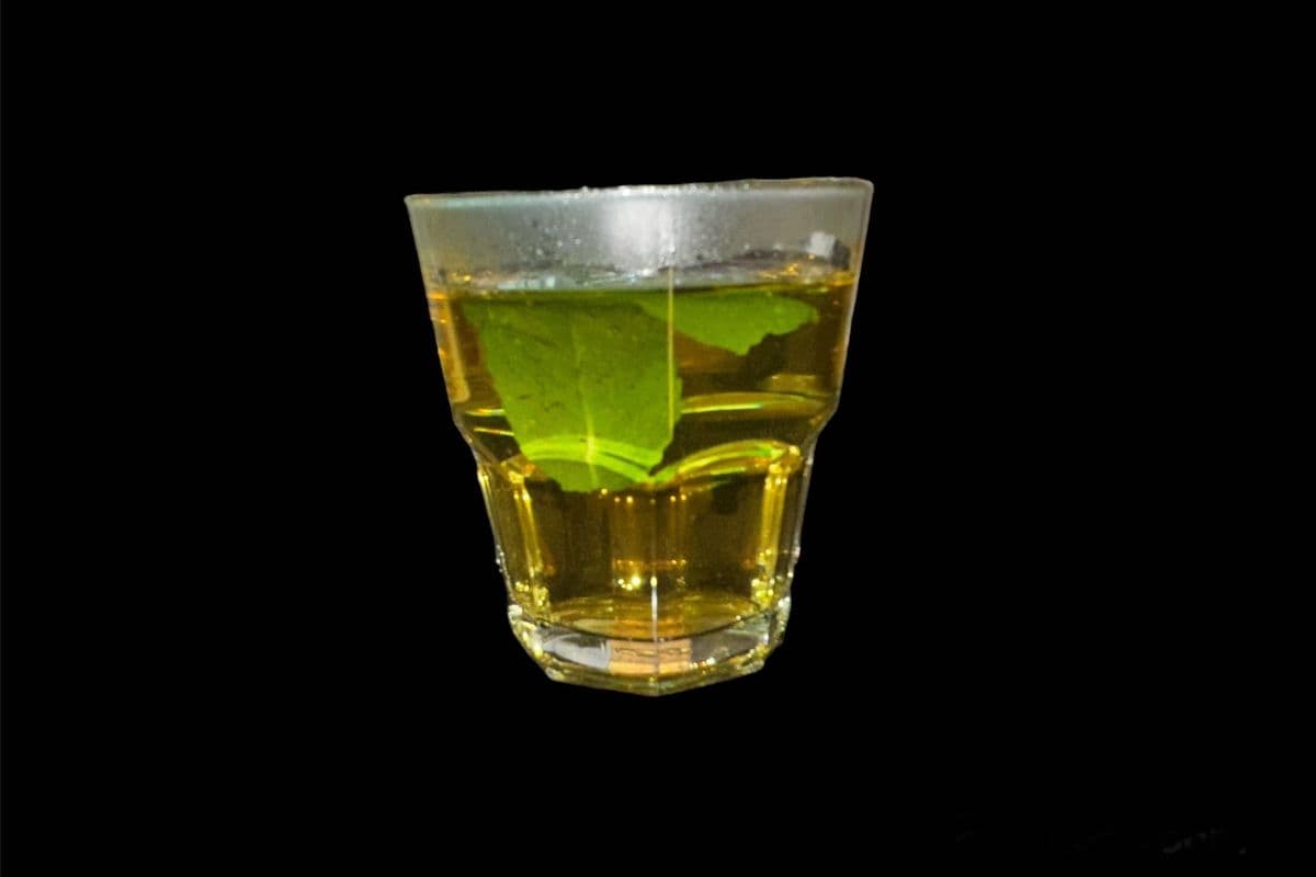 Thé à la menthe / Mint Tea