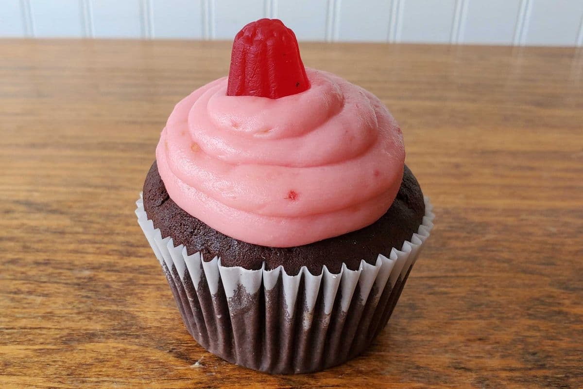Chocolate Raspberry Mini Cupcake