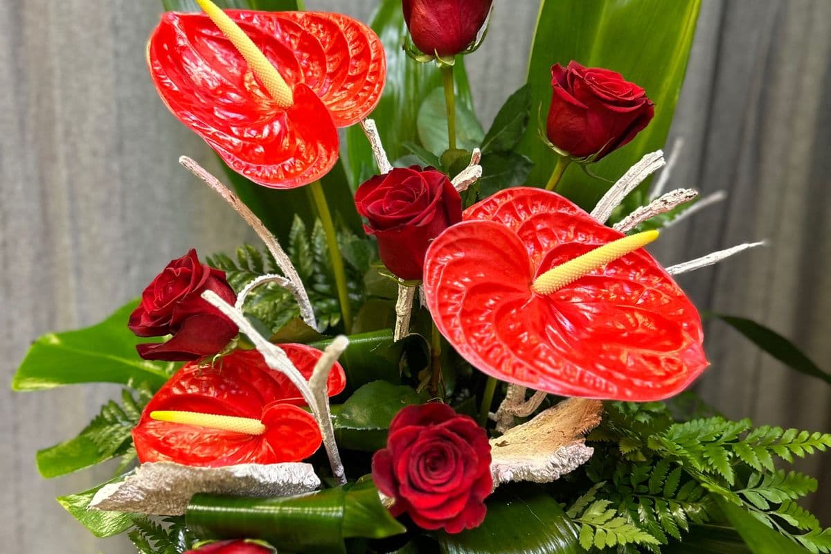 Red Anthurium & Roses