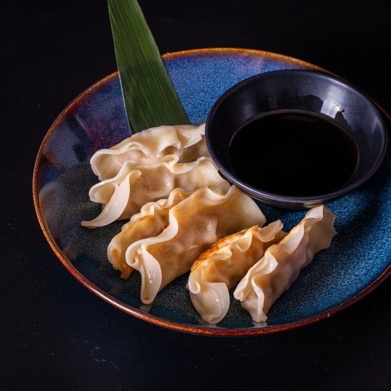 Gyoza poêlés au porc