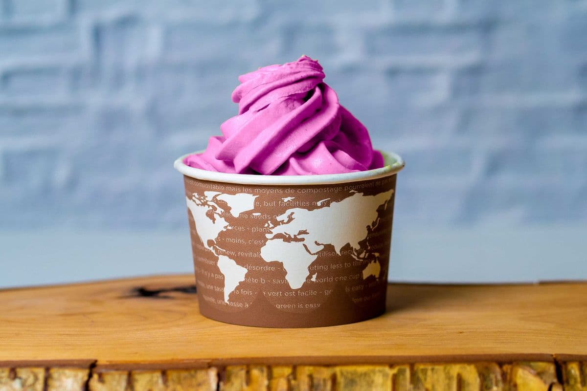 Strawberry Blueberry Frozen Yogurt