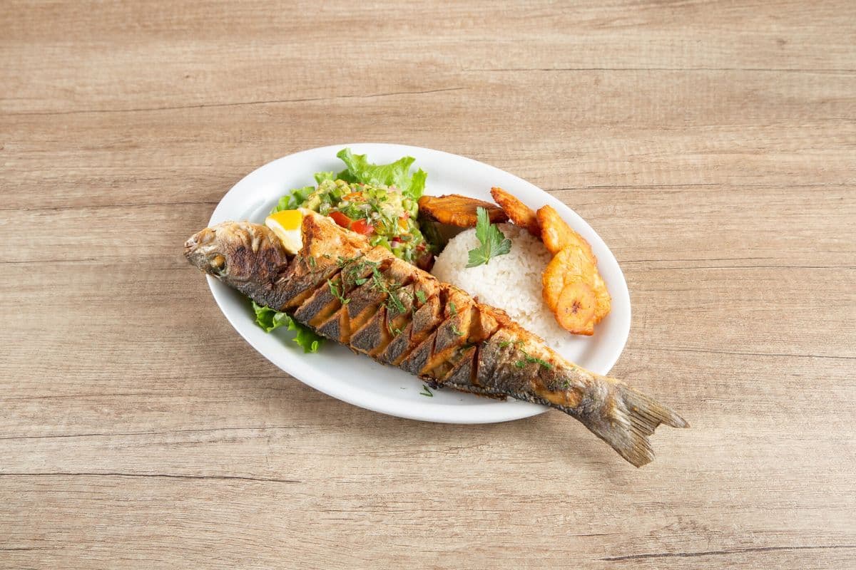 Fish of the Day