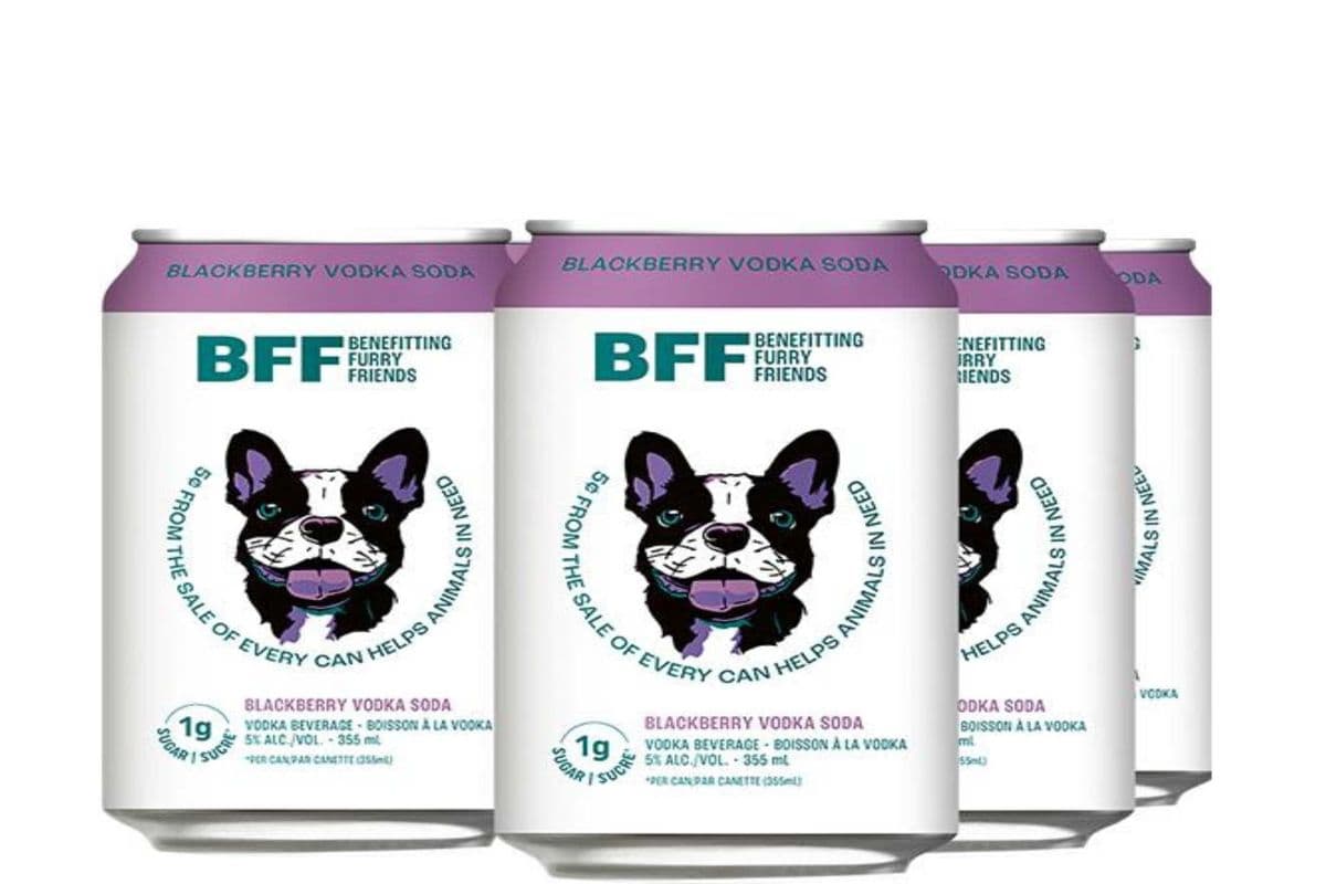 BFF BLACKBERRY VODKA SODA 6*355ML (1 x 355ML)