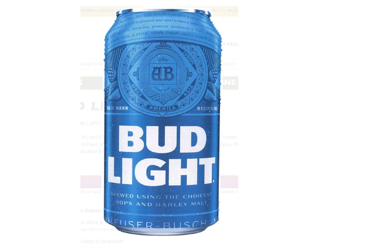 Bud Light (1 x 740ml can)