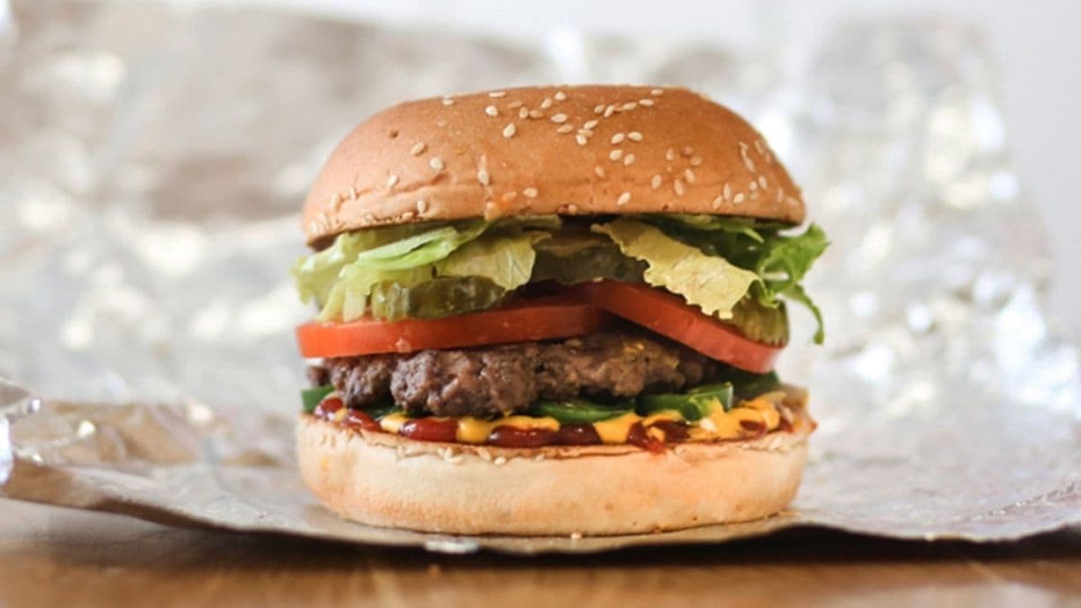 Hamburger (petit / Little)