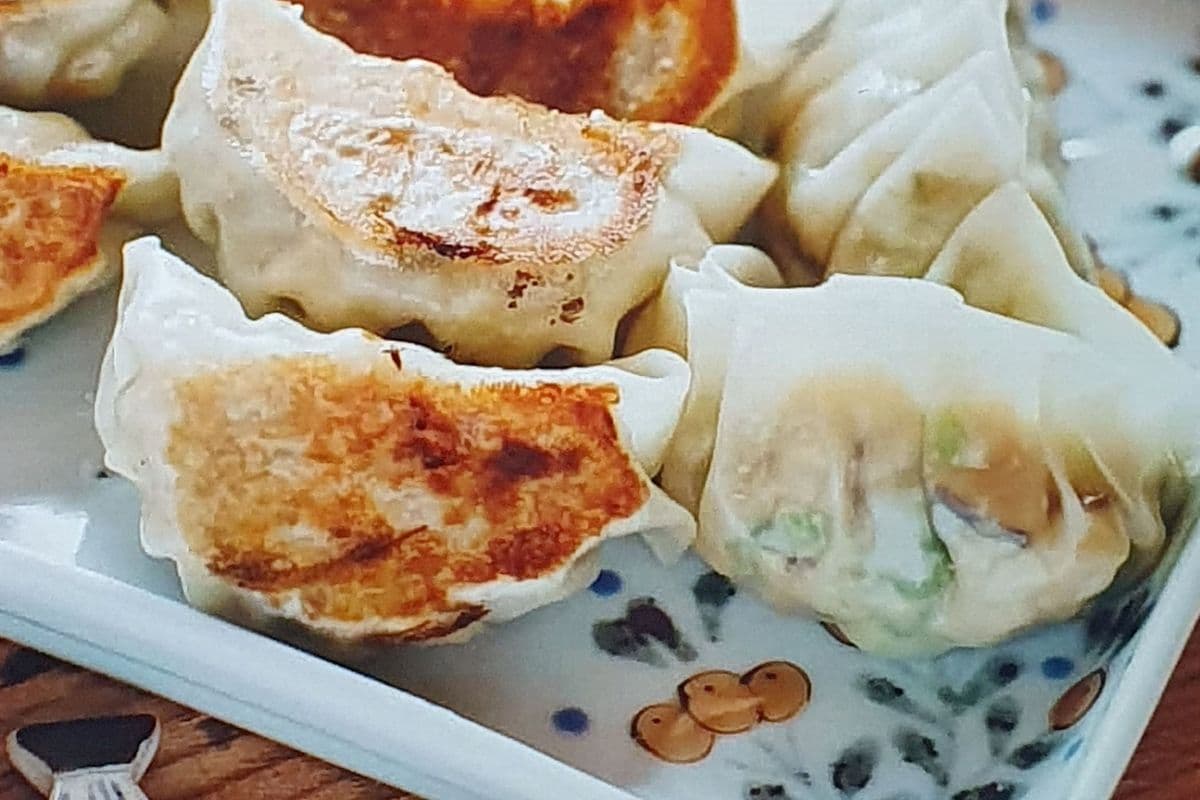 Gyoza