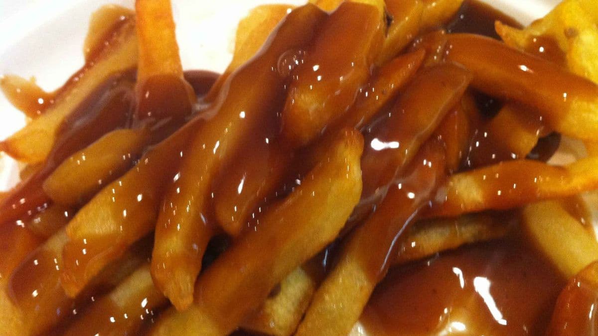 Fries with Gravy Topping