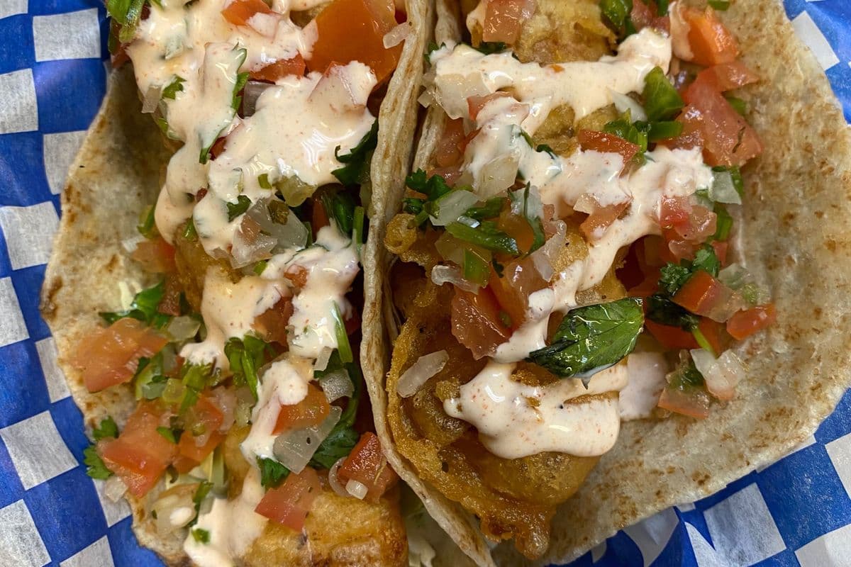 Halibut Tacos