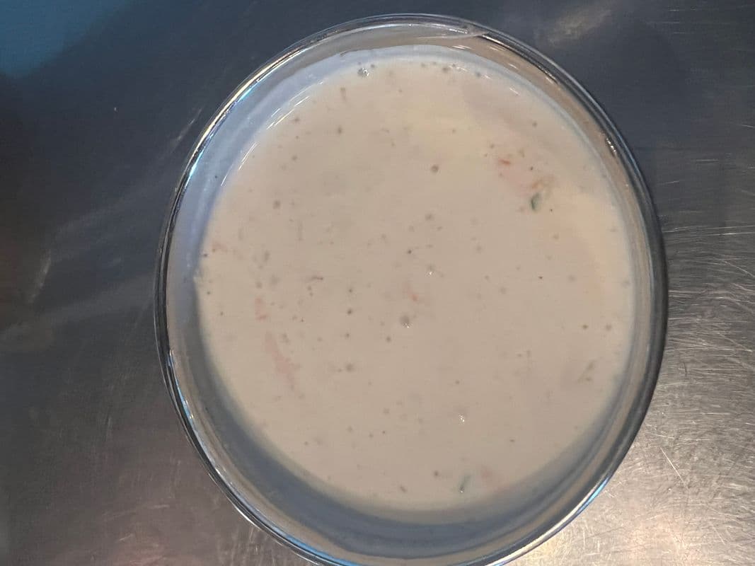 Raita