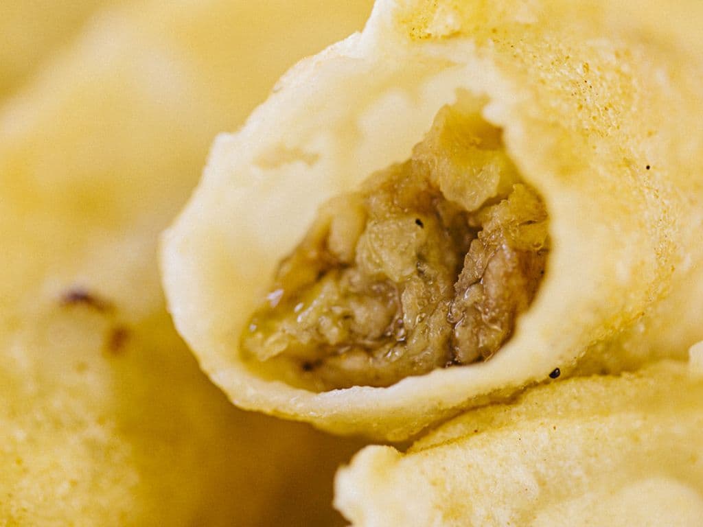 Deep Fried Dumplings