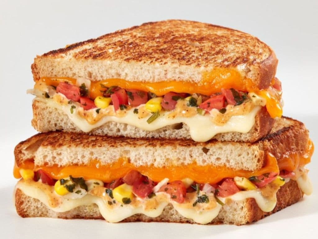 CHIPOTLE SALSA MELT
