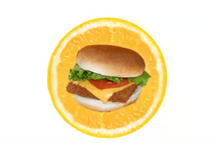 Saumon Burger / Salmon Burger