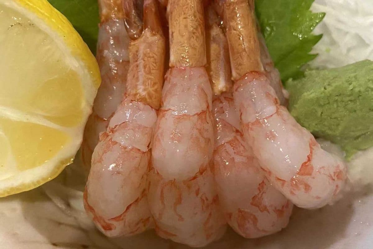 Amaebi Sashimi
