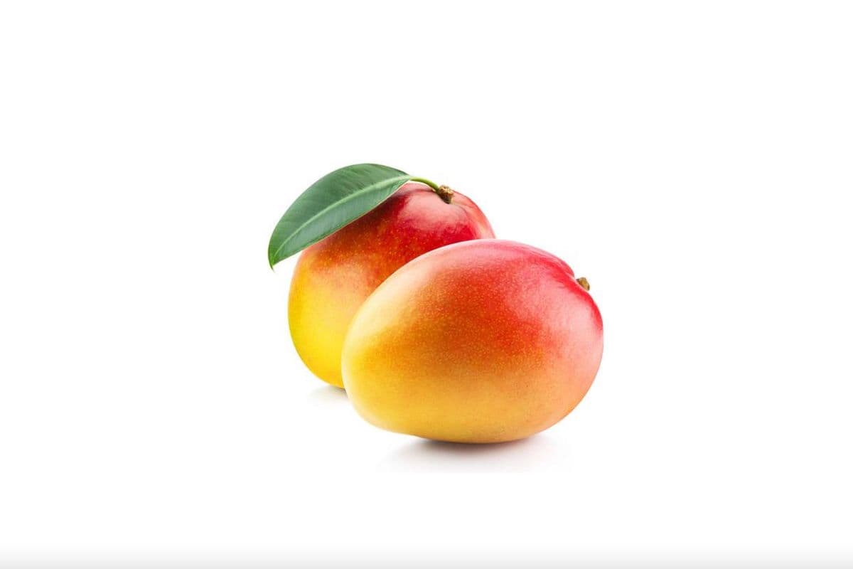 Mangoes (1 Count)