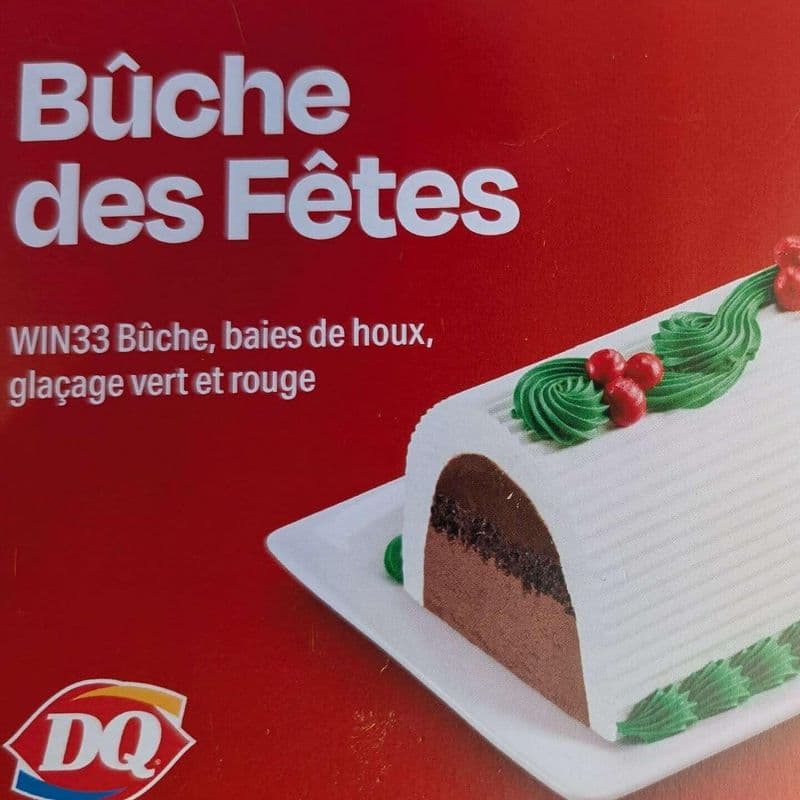 Bûche de Noël / Christmas Log Cake