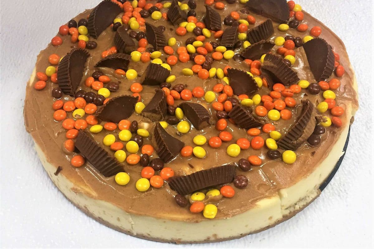 Caramel Peanut Butter Explosion Cheese Cake (Large Slice)