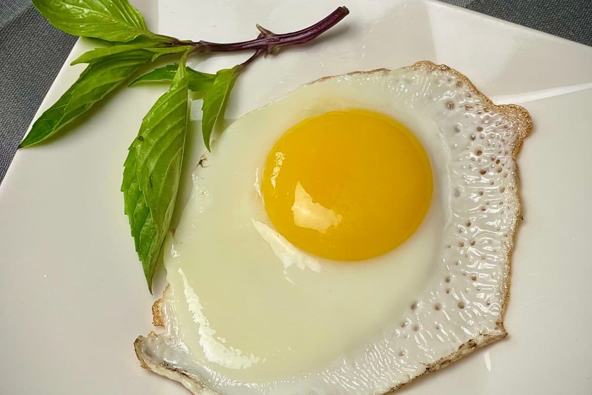 1801. Pan-Fried Egg