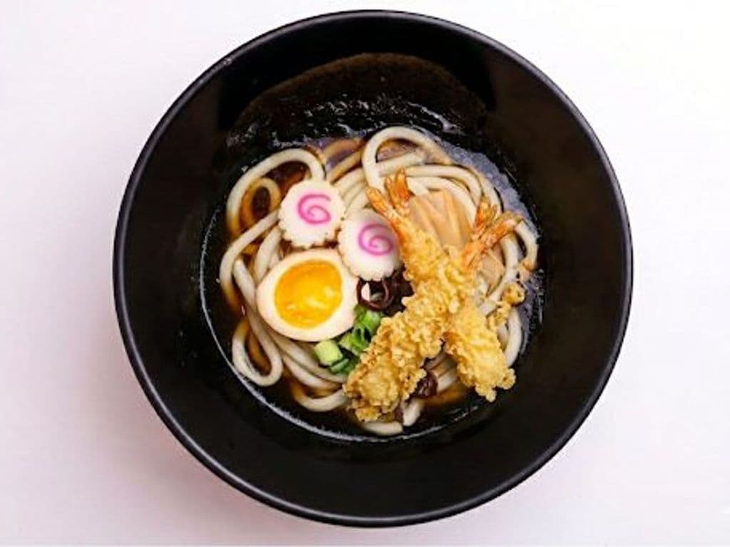 Tokyo Shoyu Udon