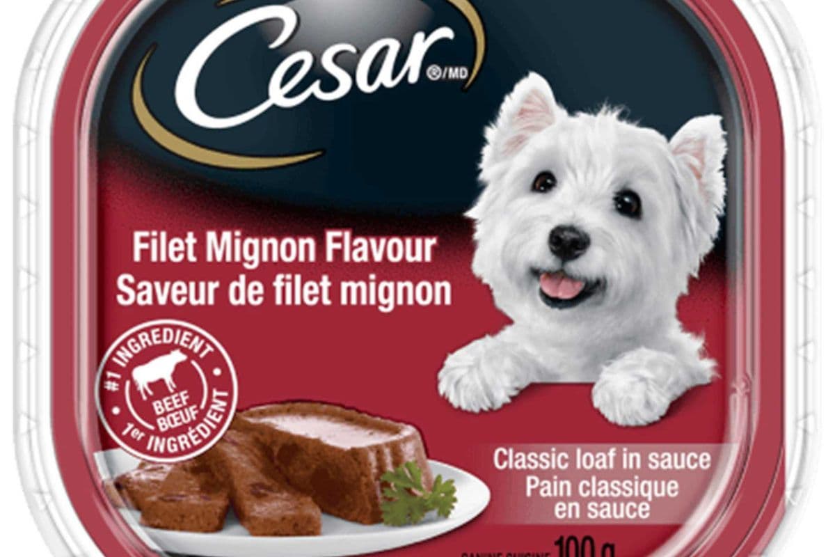 Cesar Dog Food - Filet Mignon Flavour 100g
