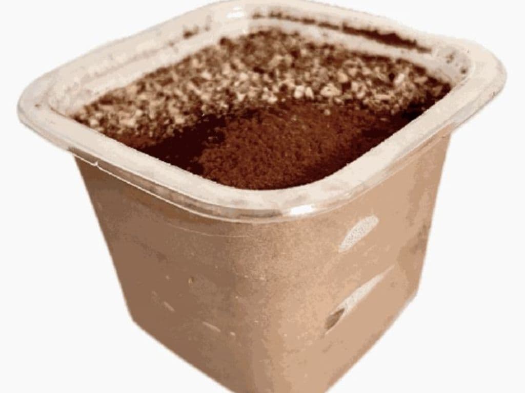 Nutella Tiramisu