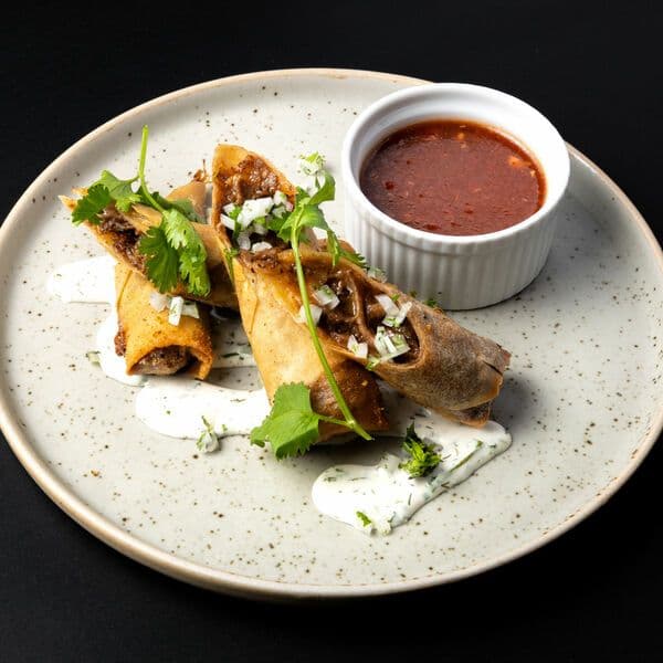 Birria Spring Rolls