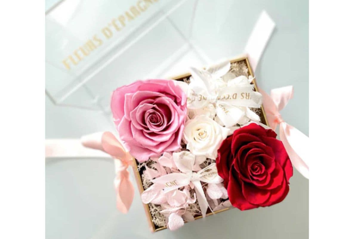 Fairytale Square Terrarium Box