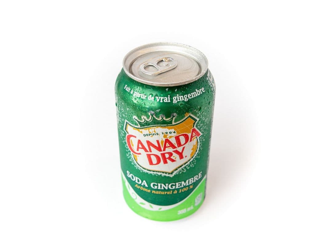 Ginger Ale / 薑汁汽水