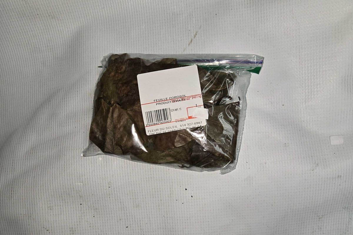 FEUILLE COROSOL